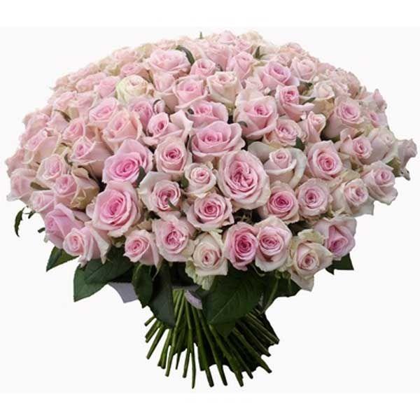 Celestial Whispers Romantic Flora Mingle